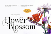 Miglem Elegant Ligature Serif Font, a Serif Font by Perfectype (Thumbnail 2 of 8)