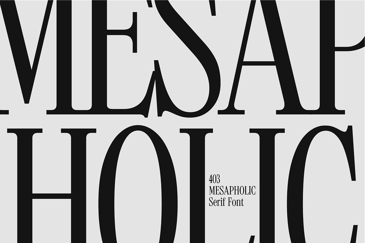 403 Mesapholic Modern Serif, a Serif Font by 403 Type Foundry (Photo 5 of 16)