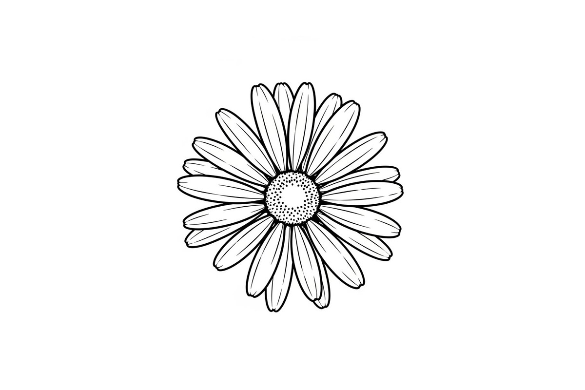 Daisy Flower Line Art Vector Bundle0, an Illustration by jahid234 (Photo 25 of 51)