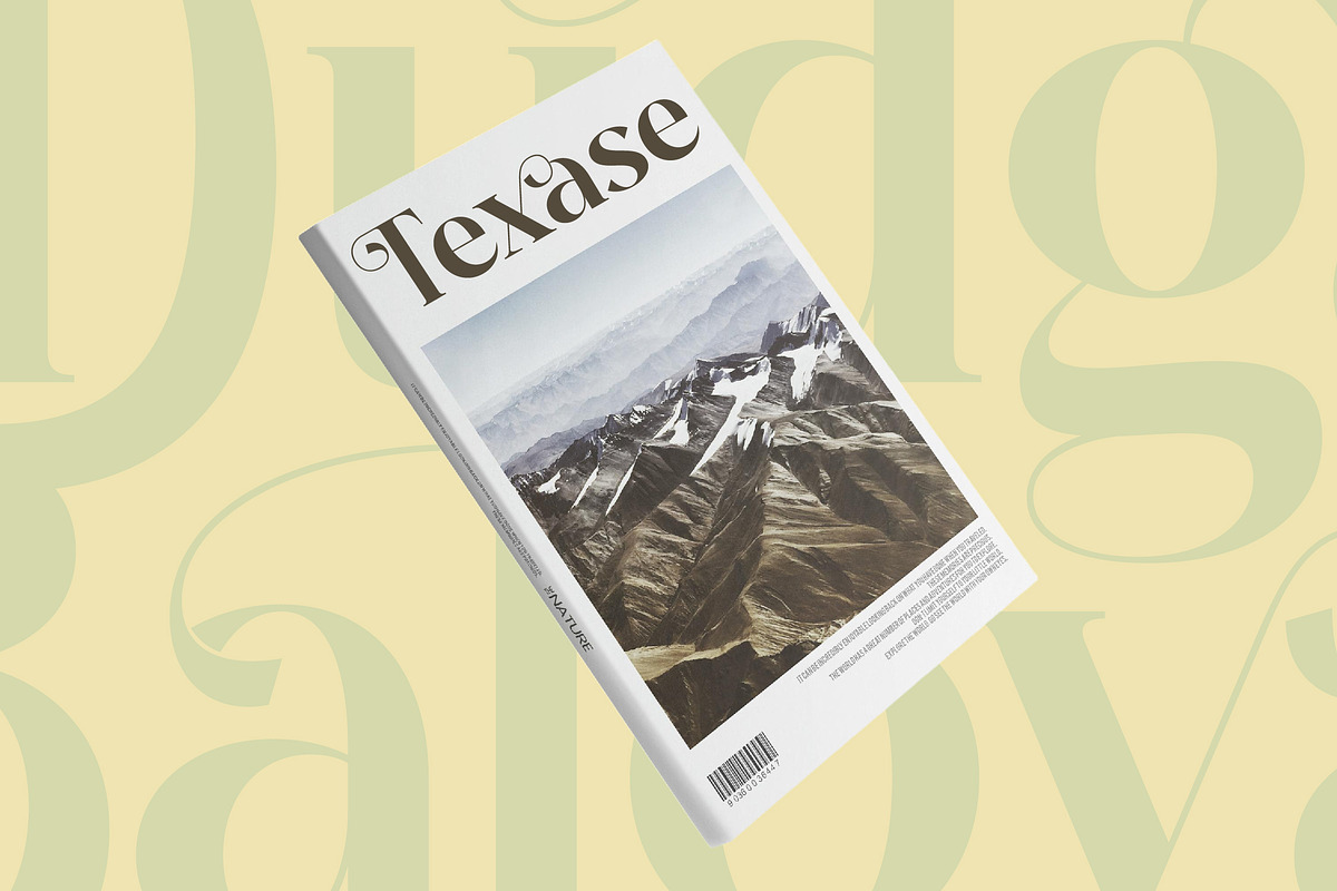 Dudga Baloval Elegant Serif Font, a Serif Font by timelesstype.co (Photo 6 of 20)