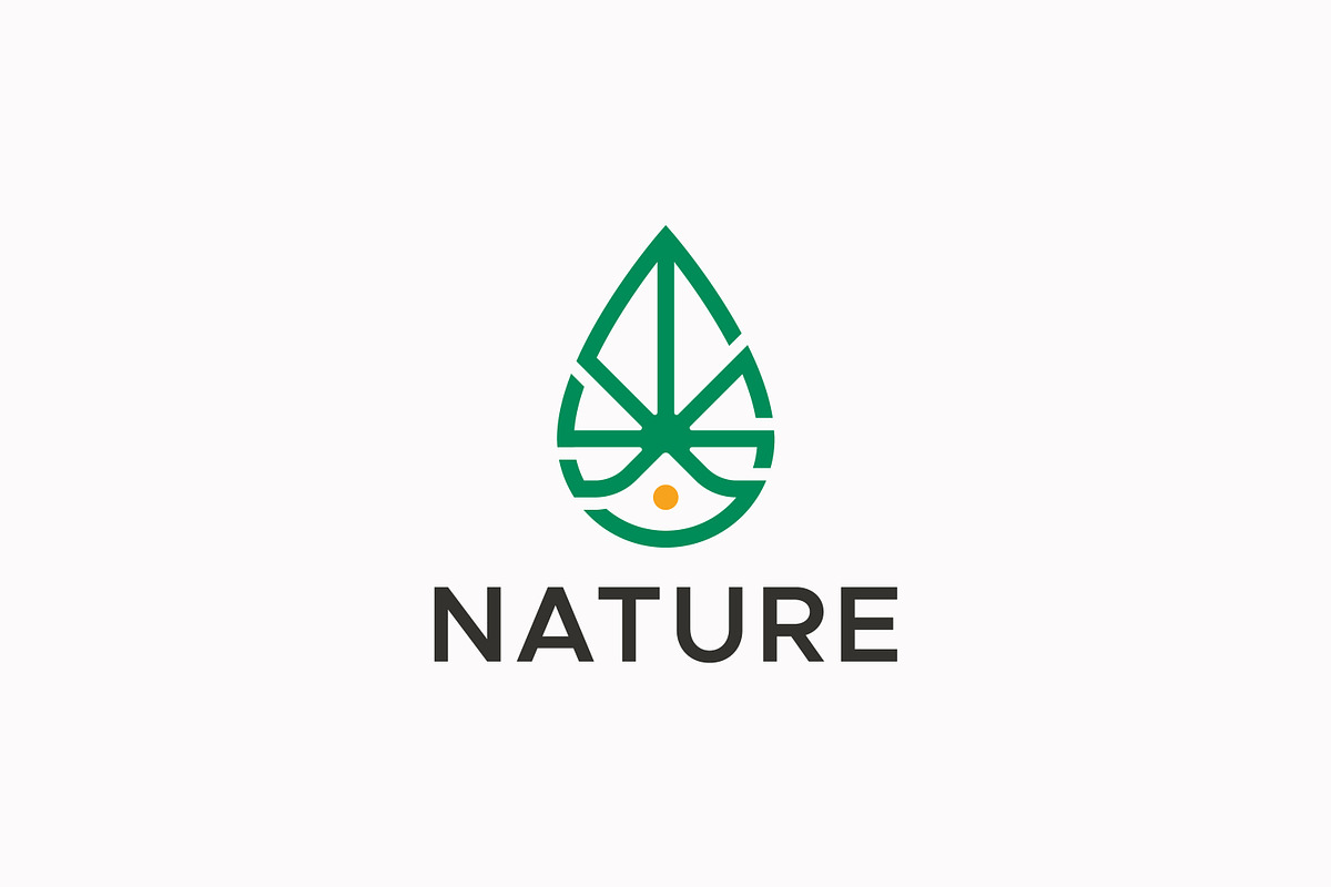 Natural Water Drop & Leaf Logo, a Branding & Logo Template by Signatoro (Photo 1 of 3)