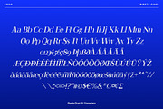 Ripete Pixel, a Serif Font by Craft Supply Co. (Thumbnail 8 of 8)