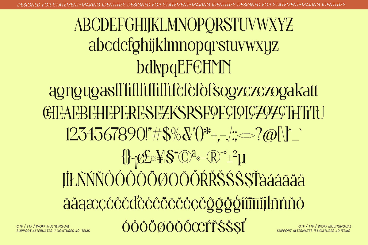 Valentine Editorial Serif, a Serif Font by AmorfaType (Photo 8 of 8)
