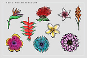 Tropical Watercolor Illustrations, an Illustration by Spring Break Jake (Thumbnail 10 of 19)