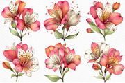 Spring Alstroemeria Flowers Clipart, an Illustration by Craft Nest (Thumbnail 6 of 11)