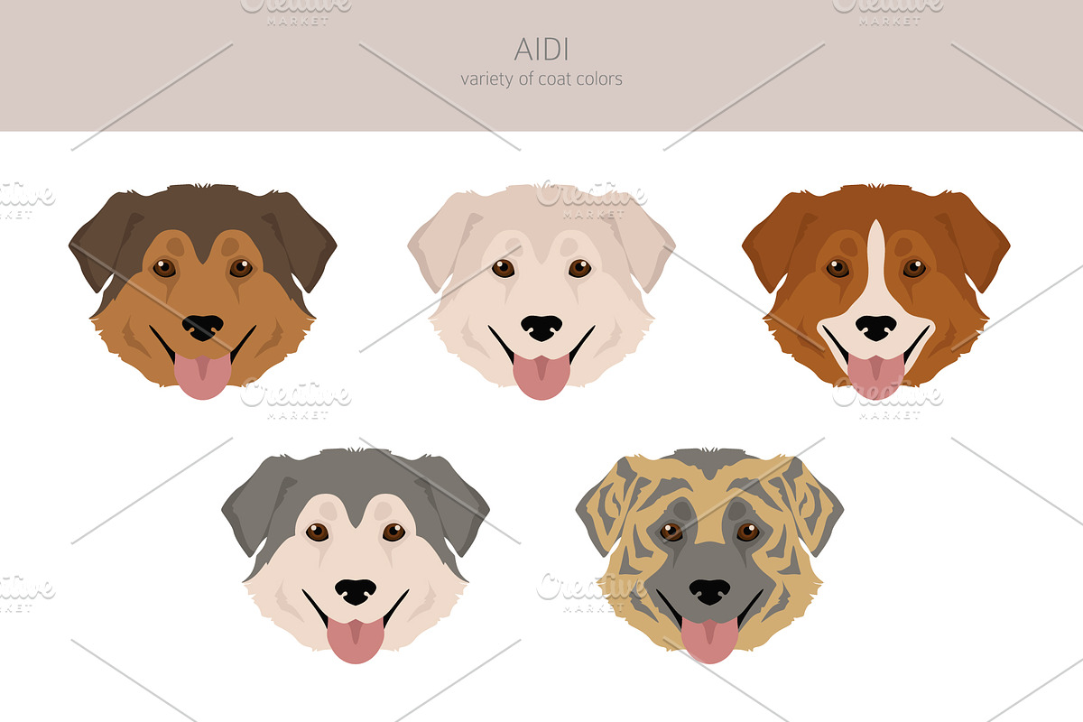 Aidi dog clipart, an Animal Illustration by pet design shop (Photo 5 of 6)