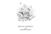 Autumn botanical sketches, a Decorative Illustration by Aquatinta (Thumbnail 5 of 8)