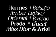 Sakem Elegance Serif Family (20 Font, a Font by Madjack.font (Thumbnail 13 of 20)
