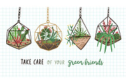 Florarium composition banner, a Decorative Illustration by Good Studio (Thumbnail 1 of 3)
