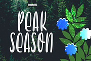 Peak Season, a Font by Epiclinez (Thumbnail 1 of 5)