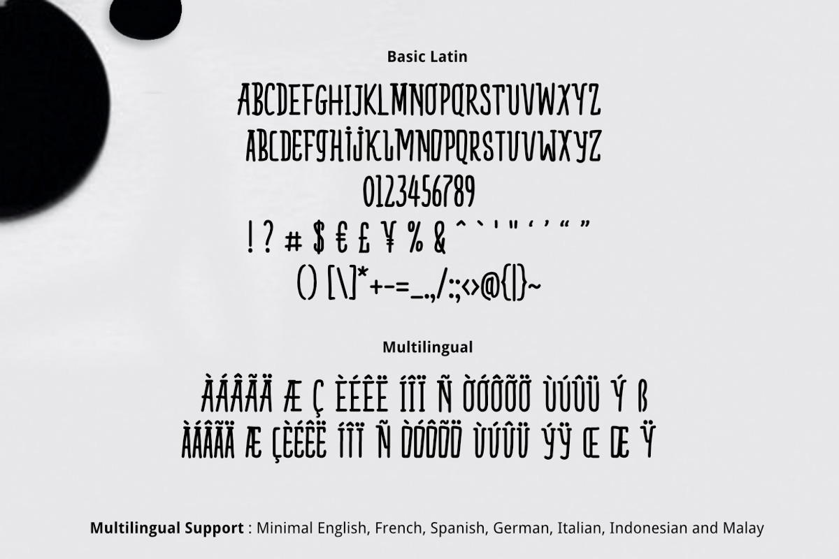 Bidara Font, a Serif Font by YandiDesigns (Photo 2 of 4)