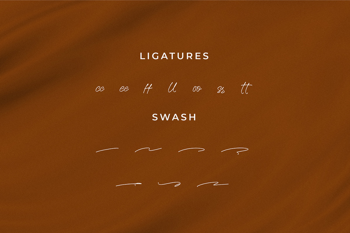 Wesynetta, a Script Font by Integritype Studio (Photo 11 of 15)