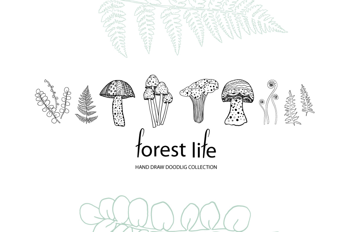 Doodle ferns and mushrooms, a Decorative Illustration by Funny-sunny (Photo 1 of 5)