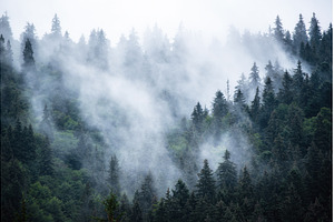 Misty mountain landscape, a Nature Photo by Nature and travel