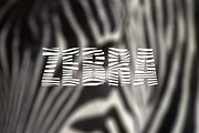 Zebra Sans Serif, a Sans Serif Font by Nickhard (Thumbnail 1 of 7)
