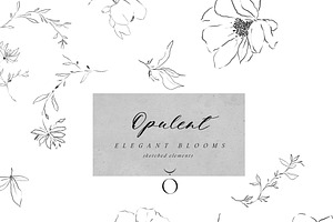 Opulent - Classic Watercolor Florals