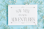 Elegant - Font Collection - 7 Fonts, a Sans Serif Font by CorgiAstronaut (Thumbnail 27 of 41)