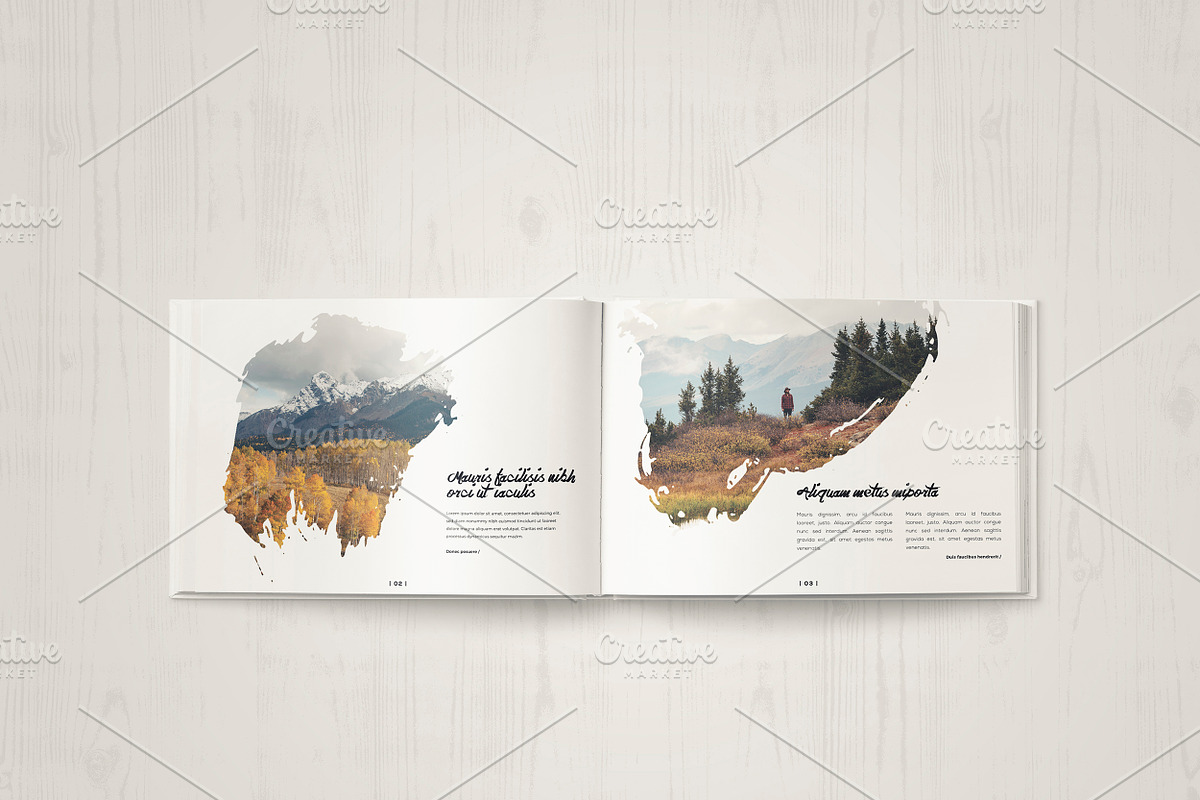 Multipurpose Portfolio Brochure, a Brochure Template by ShapShapy (Photo 4 of 17)