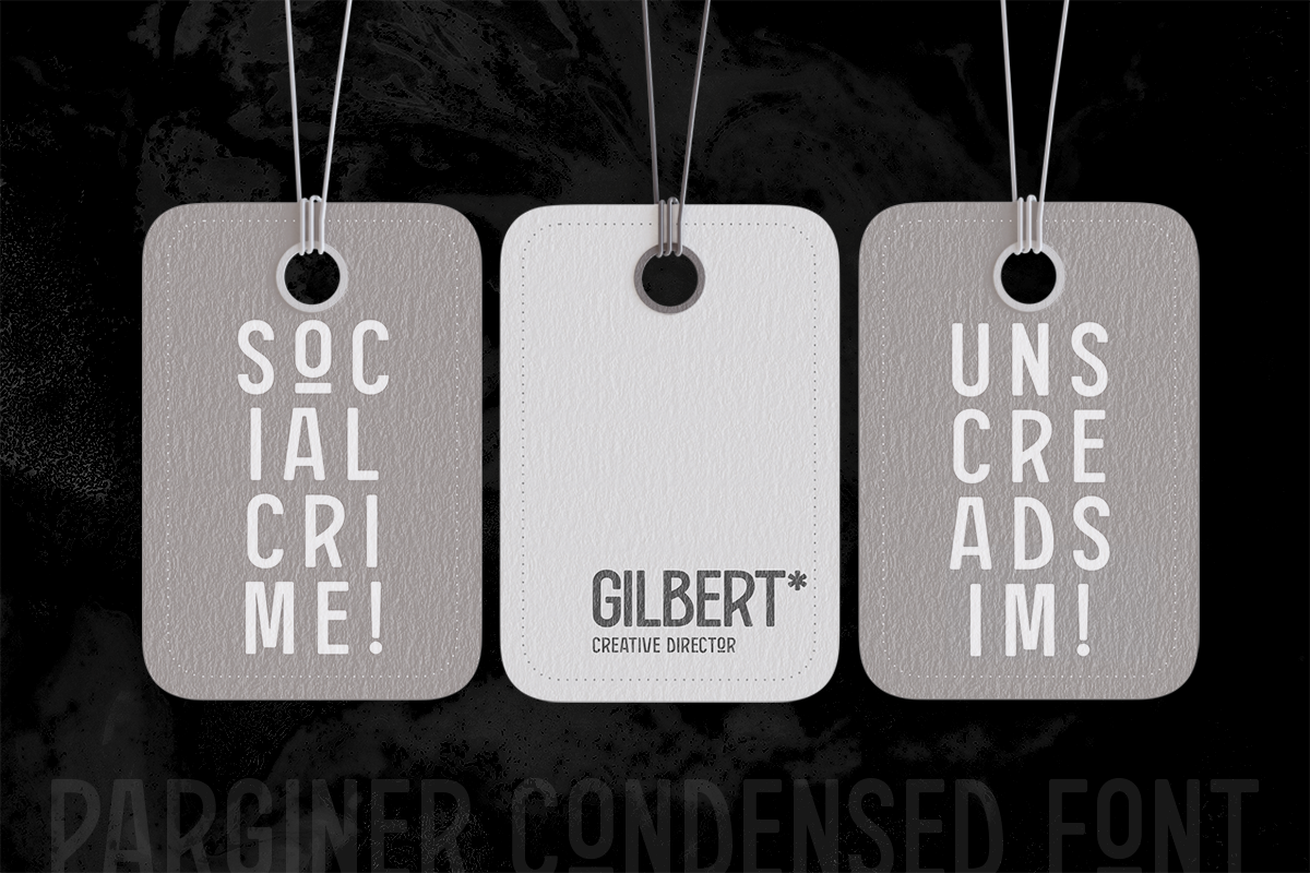 Parginer Display Font, a Sans Serif Font by Martype (Photo 5 of 8)