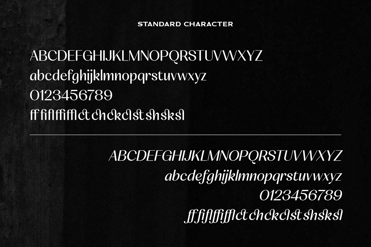 SS Canelope - Timeless Sans Font, a Sans Serif Font by Typocracy Studio (Photo 10 of 10)