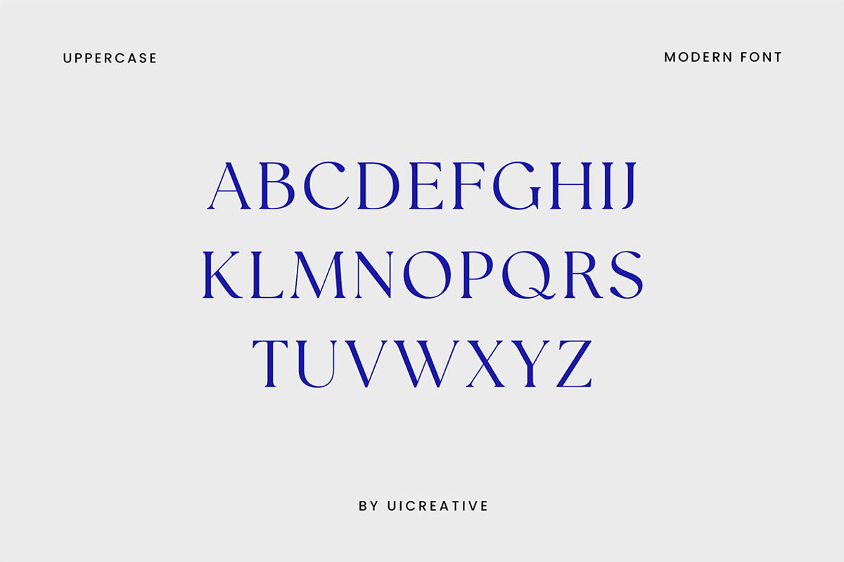 Distrampler Luxury Serif Font, a Serif Font by UICreative (Photo 9 of 13)