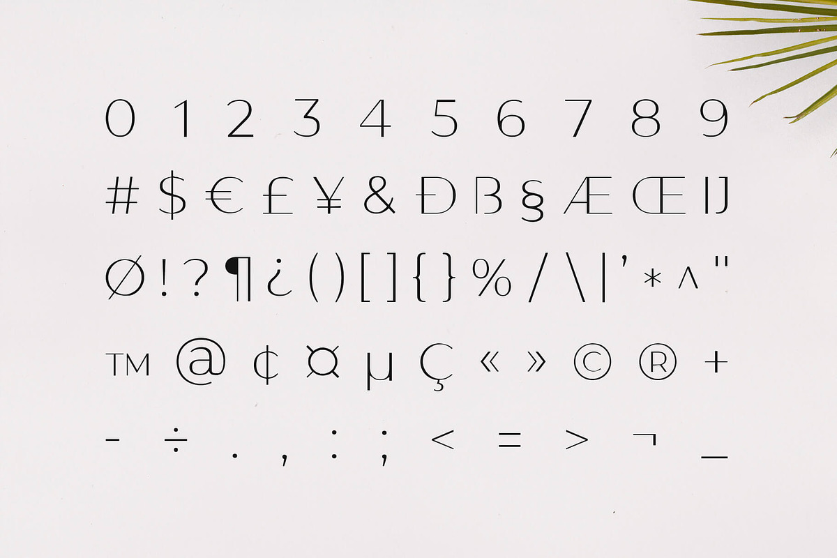 Gantic Font Family - Sans Serif preview 4