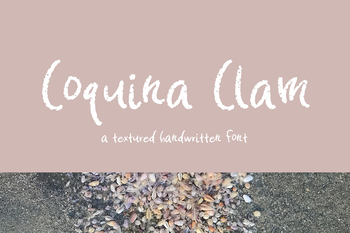 Coquina Clam Sans, a Sans Serif Font by Beck McCormick (Photo 5 of 5)