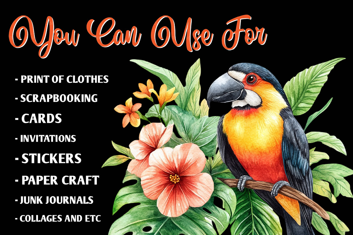 Tropical Bird Png, Jungle Bird Clipa, an Illustration by CreationArt (Photo 3 of 9)