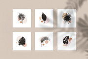 Exotic leaf and abstract shapes set, a Decorative Illustration by Good Studio (Thumbnail 4 of 7)