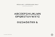 Granada - Editorial Serif, a Serif Font by Alubia design (Thumbnail 7 of 11)