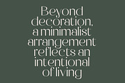 Raslera Modern Serif Display, a Sans Serif Font by timelesstype.co (Thumbnail 9 of 20)