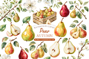 Autumn Pear Clipart PNG, an Object Illustration by MockupWizard (Thumbnail 1 of 5)