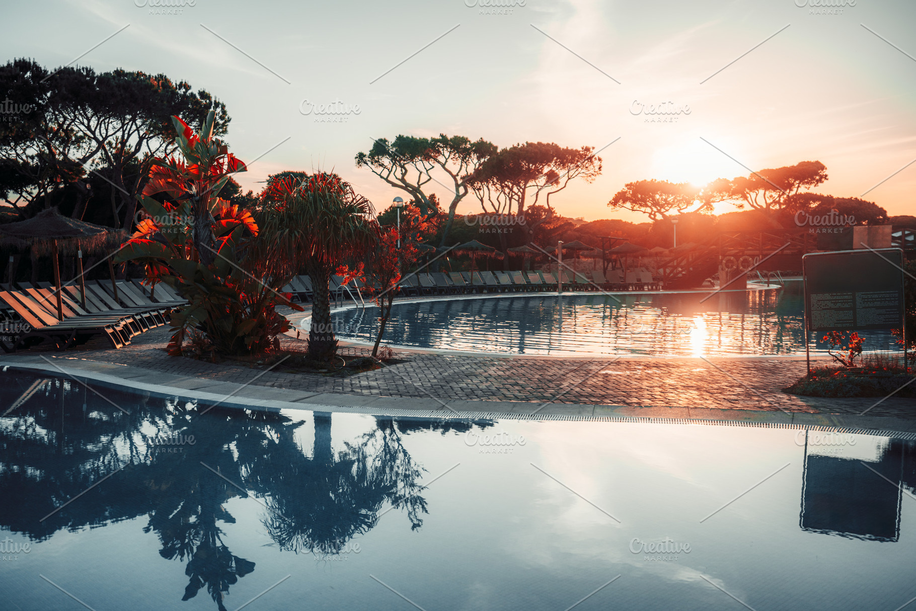 Sunset poolside at tropical resort, a Sports & Recreation Photo by SkyNext