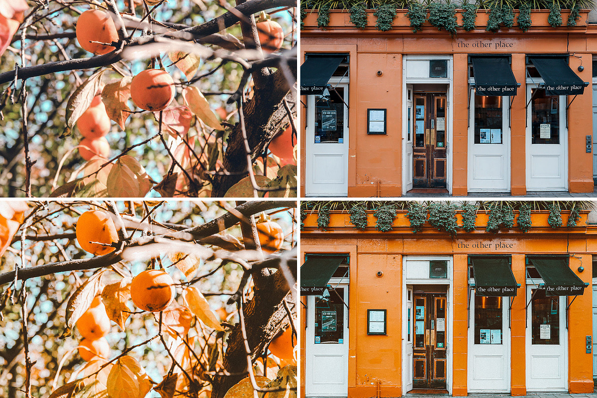 40. Oranges (Tezza Vibes), an Action Add-On by Advina Store (Photo 11 of 13)