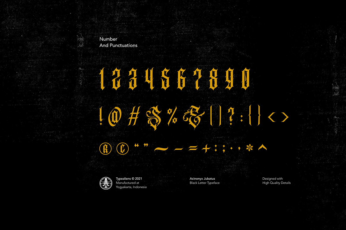 Acinonyx Jubatus, a Blackletter Font by ilhamtaro (Photo 9 of 10)