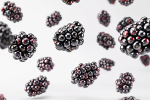 Ripe blackberries flying in the air on white background, a Food & Drink Photo by AlyaAnd