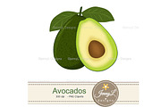 Avocado Digital Papers and Clipart, a Pattern Graphic by JennyL Designs (Thumbnail 3 of 7)
