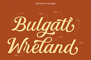 Hiclent, a Script Font by StudioRhd (Thumbnail 5 of 9)