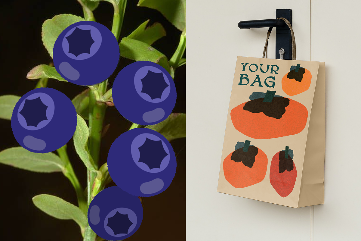 Organic Food Packaging Kit, a Food Illustration by Schumacher Shop (Photo 15 of 25)