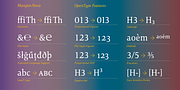 Mangan Nova, a Serif Font by Hoftype (Thumbnail 6 of 8)