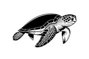 50 Sea Turtle Vector Silhouette Bund, an Illustration by jahid234 (Thumbnail 11 of 51)
