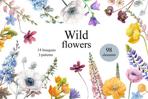 Watercolor summer wild flowers.