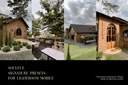 Soulful looks like film Presets, a Preset Add-On by Lookslabs (Thumbnail 4 of 7)