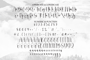 Sublimation | Script Font, a Handwritten Font by Scratchones (Thumbnail 7 of 8)