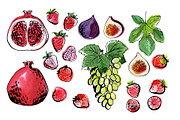 Fruits and berries vector sketch, a Food Illustration by irina.vaneeva (Thumbnail 4 of 11)