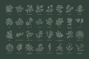 Floral Illustration Set, a Decorative Illustration by iStar Design (Thumbnail 12 of 13)