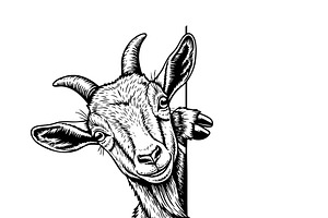 Vector of a goat peeking. Animals., an Animal Illustration by yod67