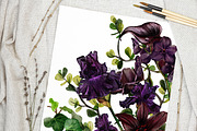 Floral Watercolor Bundle, an Object Graphic by JSolomatina (Thumbnail 5 of 23)