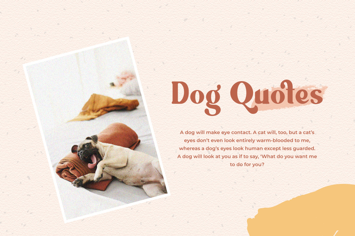 Ragila ~ Ligature Serif Font preview 4