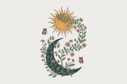 Wildflower Celestial Bundle, an Illustration by Amazin_art (Thumbnail 4 of 11)
